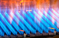 Llantarnam gas fired boilers